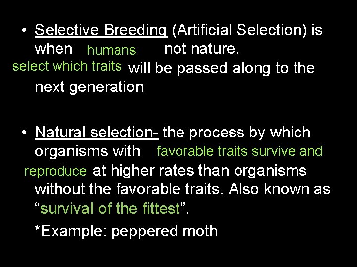  • Selective Breeding (Artificial Selection) is when humans not nature, select which traits