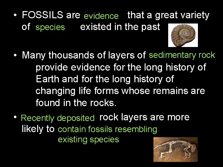  • FOSSILS are evidence that a great variety of species existed in the