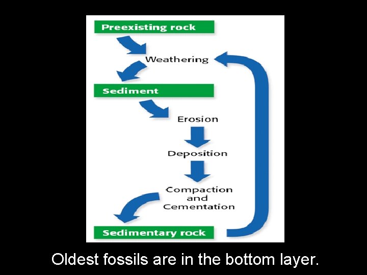 Oldest fossils are in the bottom layer. 