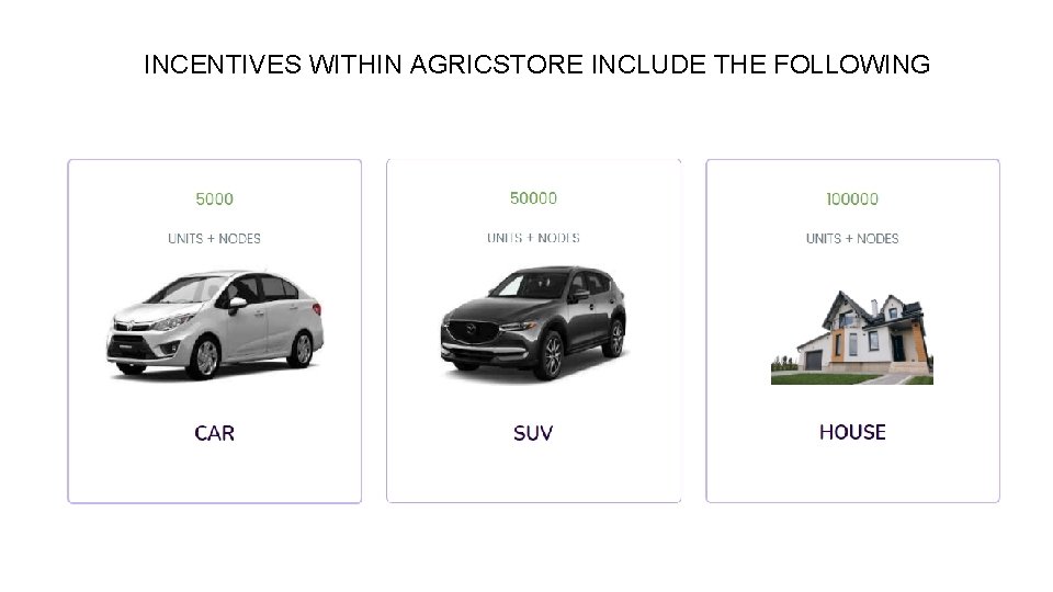 INCENTIVES WITHIN AGRICSTORE INCLUDE THE FOLLOWING 
