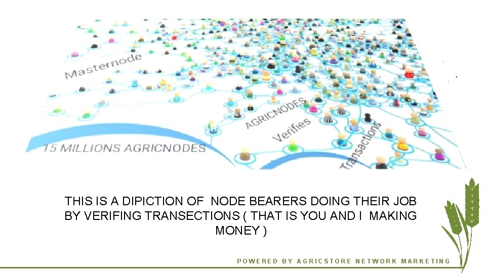 THIS IS A DIPICTION OF NODE BEARERS DOING THEIR JOB BY VERIFING TRANSECTIONS (