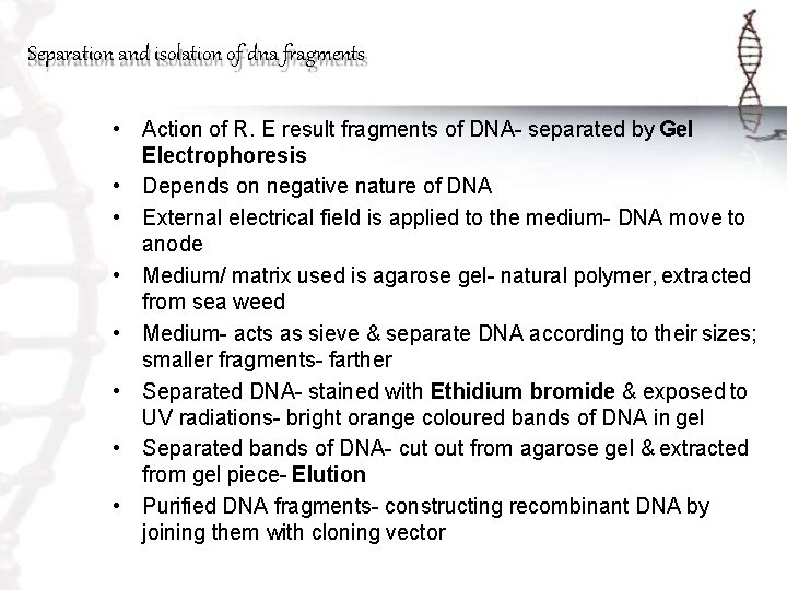 Separation and isolation of dna fragments • Action of R. E result fragments of