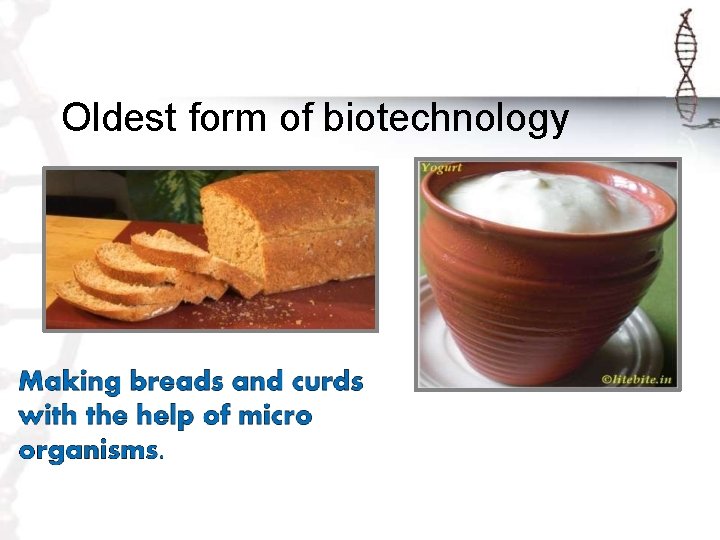 Oldest form of biotechnology 