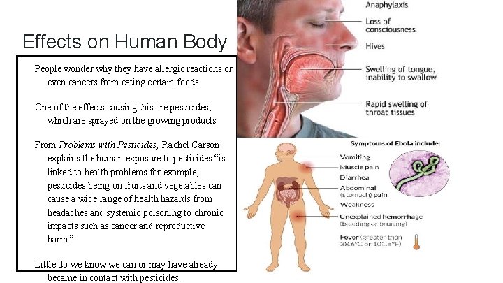 Effects on Human Body People wonder why they have allergic reactions or even cancers
