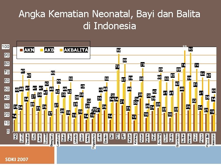 Angka Kematian Neonatal, Bayi dan Balita di Indonesia SDKI 2007 