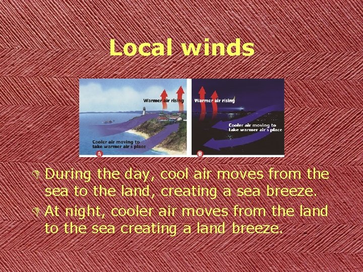 Local winds D During the day, cool air moves from the sea to the
