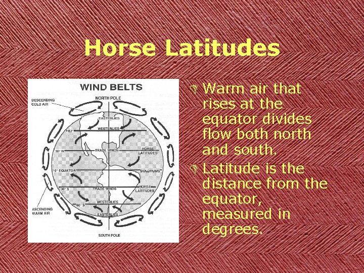 Horse Latitudes D Warm air that rises at the equator divides flow both north