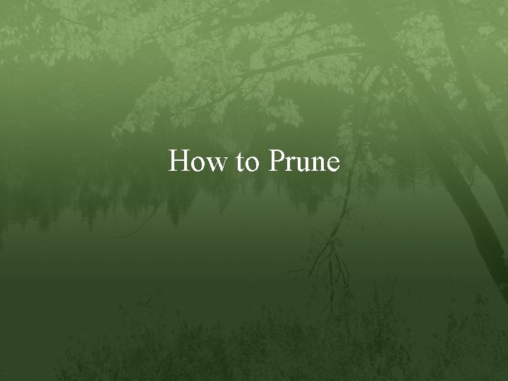 How to Prune 