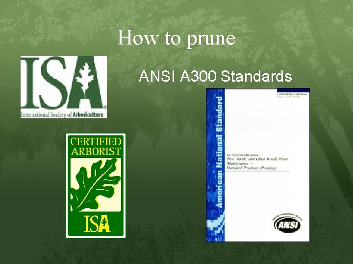 How to prune ANSI A 300 Standards 