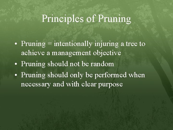 Principles of Pruning • Pruning = intentionally injuring a tree to achieve a management