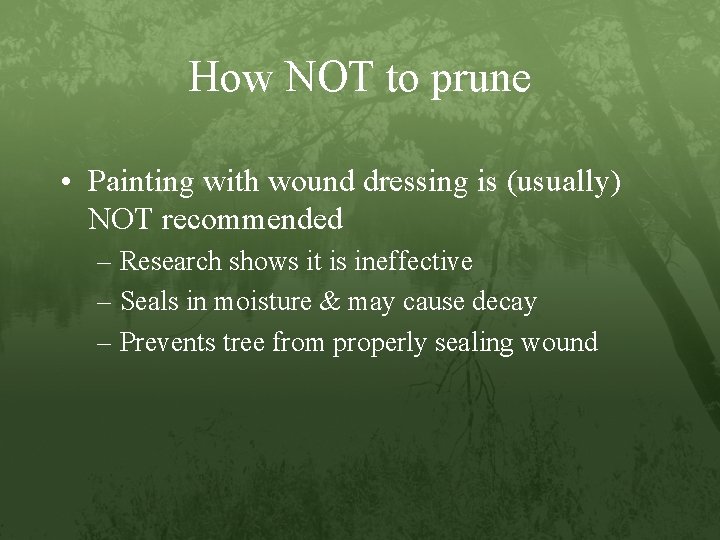 How NOT to prune • Painting with wound dressing is (usually) NOT recommended –
