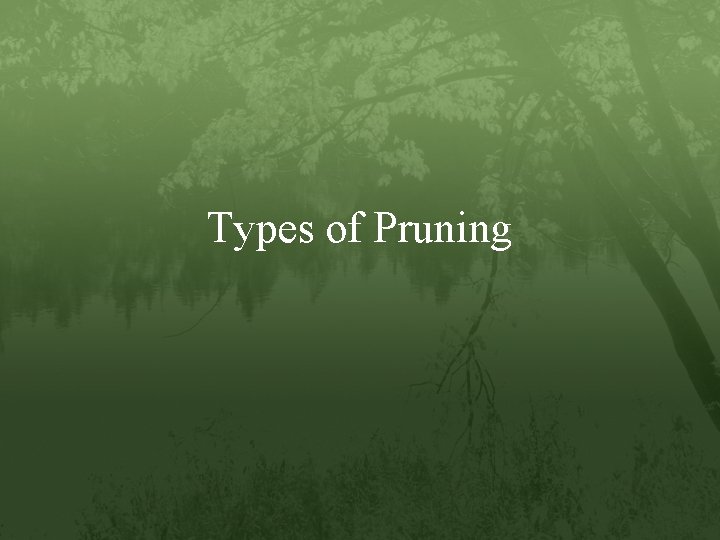 Types of Pruning 
