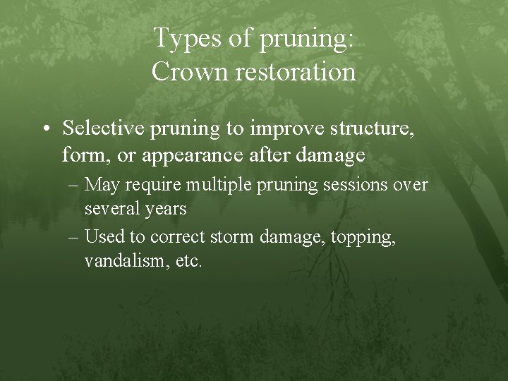 Types of pruning: Crown restoration • Selective pruning to improve structure, form, or appearance
