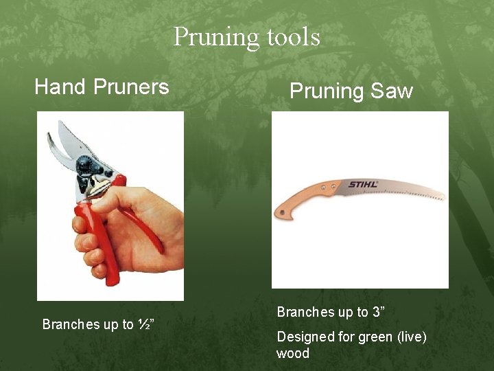 Pruning tools Hand Pruners Branches up to ½” Pruning Saw Branches up to 3”