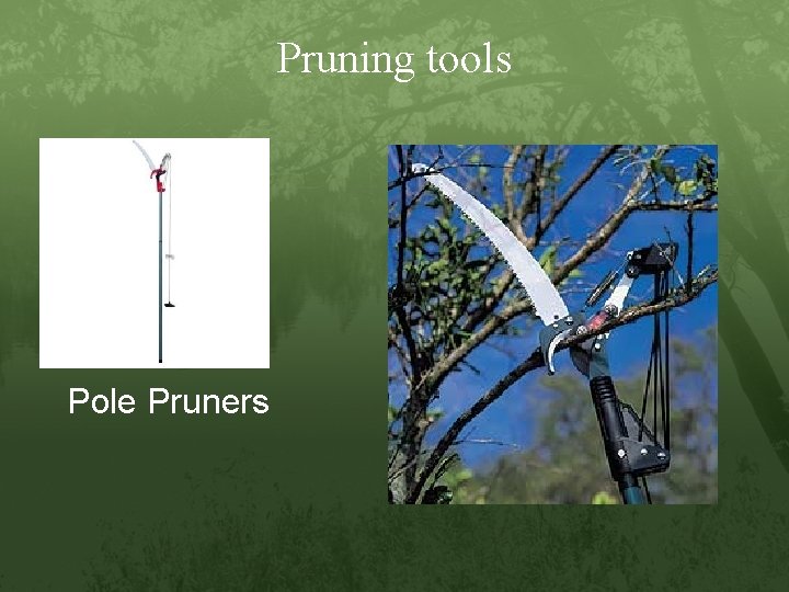 Pruning tools Pole Pruners 