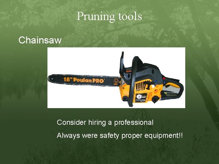 Pruning tools Chainsaw Consider hiring a professional Always were safety proper equipment!! 