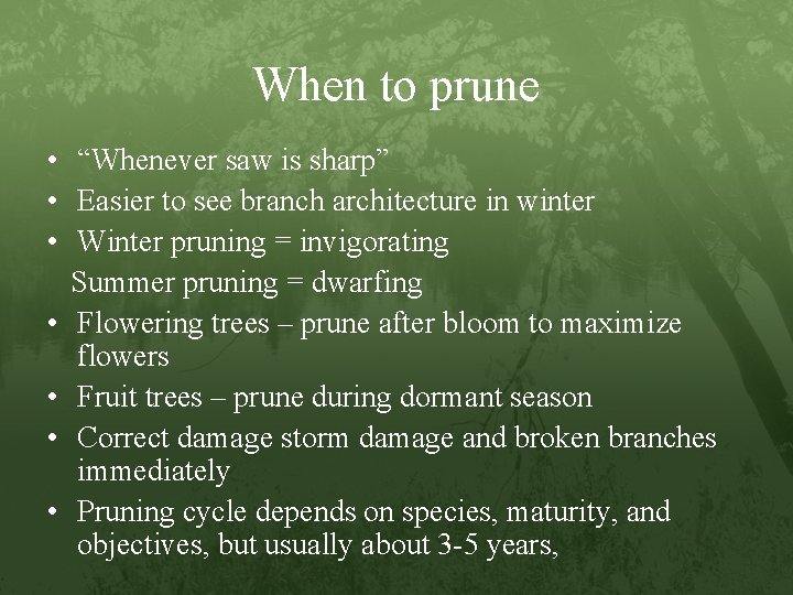 When to prune • “Whenever saw is sharp” • Easier to see branch architecture