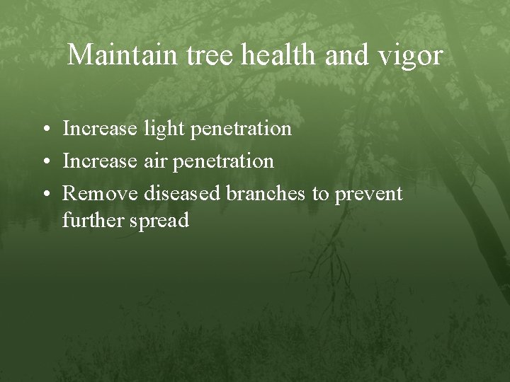Maintain tree health and vigor • Increase light penetration • Increase air penetration •