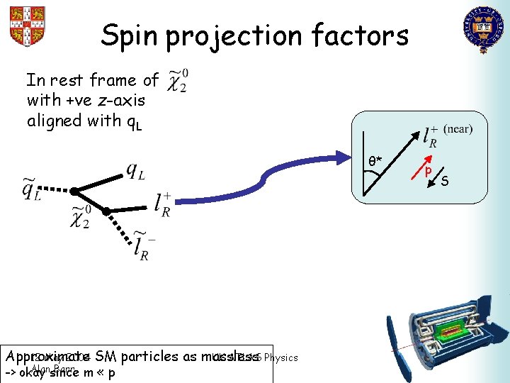 Spin projection factors In rest frame of with +ve z-axis aligned with q. L