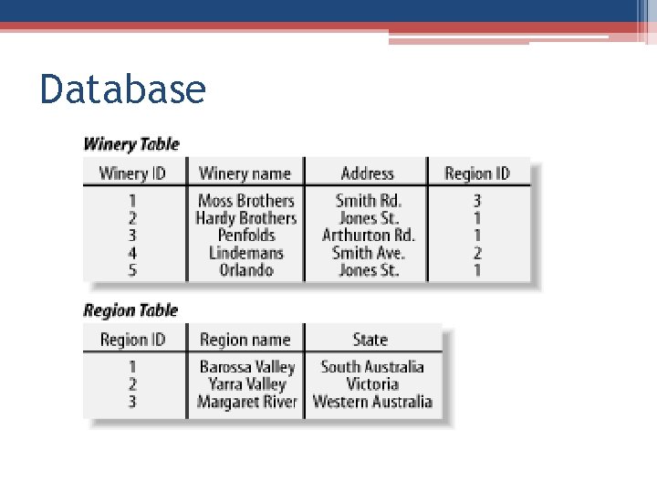 Database Database