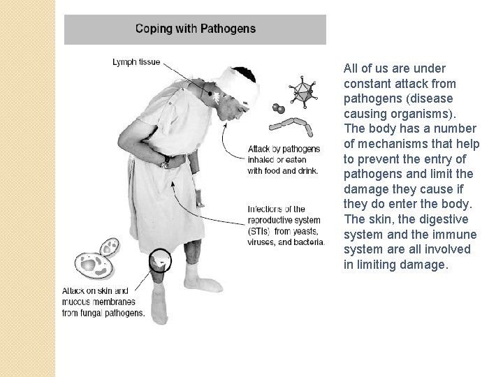 All of us are under constant attack from pathogens (disease causing organisms). The body