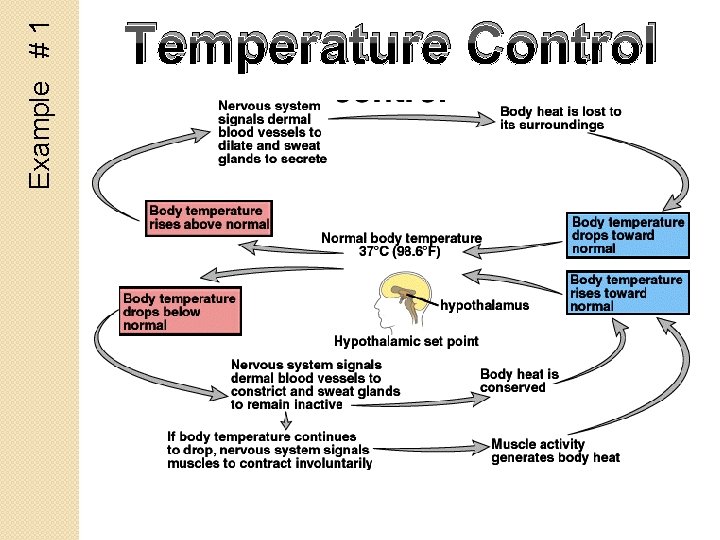 Example # 1 Temperature Control 