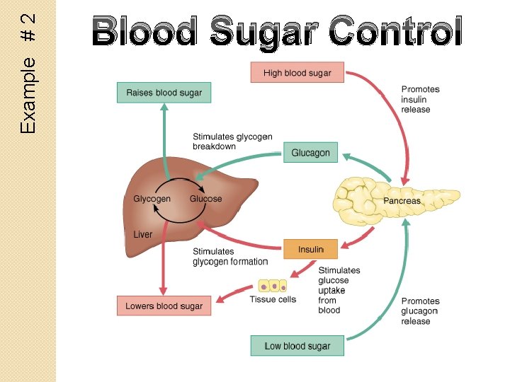 Example # 2 Blood Sugar Control 