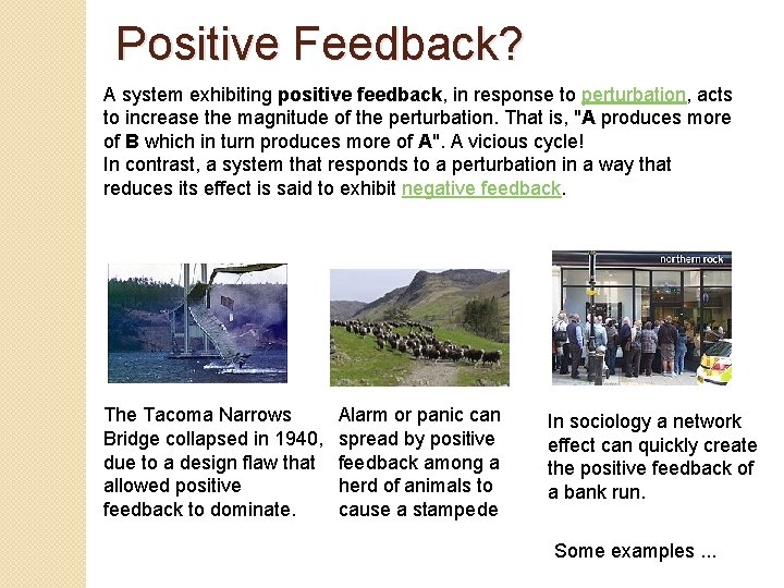 Positive Feedback? A system exhibiting positive feedback, in response to perturbation, acts to increase
