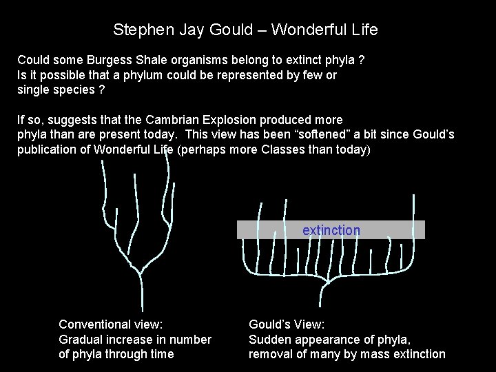 Stephen Jay Gould – Wonderful Life Could some Burgess Shale organisms belong to extinct