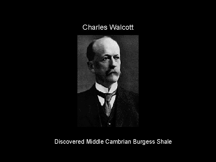 Charles Walcott Discovered Middle Cambrian Burgess Shale 