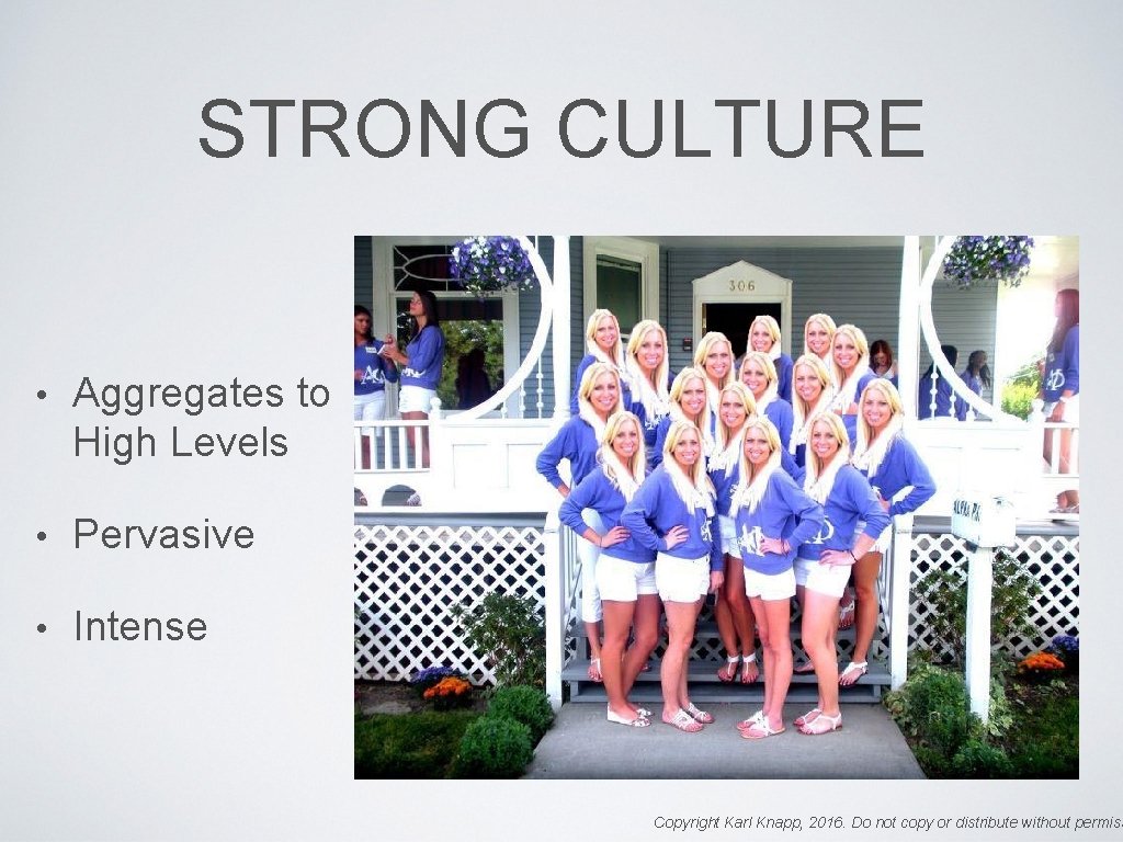 STRONG CULTURE • Aggregates to High Levels • Pervasive • Intense Copyright Karl Knapp,