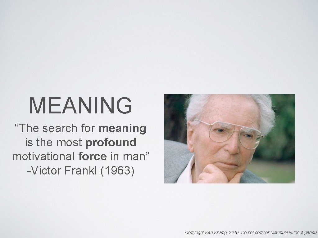 MEANING “The search for meaning is the most profound motivational force in man” -Victor