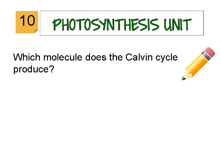 © 2014 Vanessa Jason (“Biology Roots”) 10 Which molecule does the Calvin cycle produce?