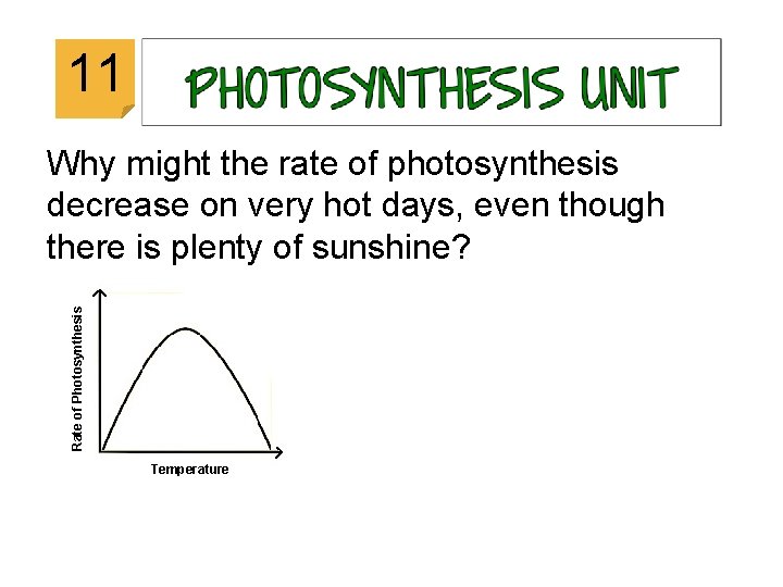 © 2014 Vanessa Jason (“Biology Roots”) 11 Rate of Photosynthesis Why might the rate