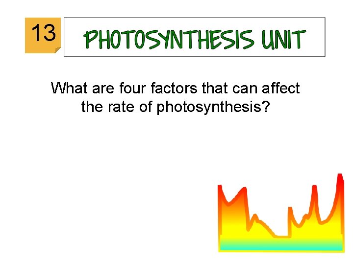 © 2014 Vanessa Jason (“Biology Roots”) 13 What are four factors that can affect
