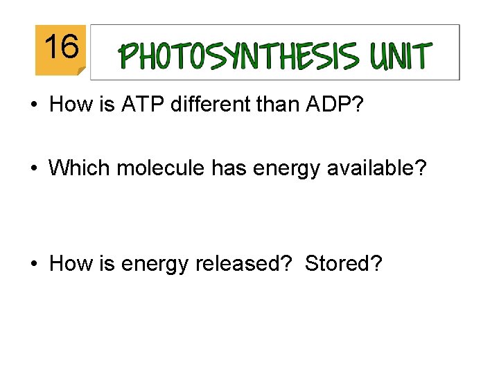 16 • How is ATP different than ADP? • Which molecule has energy available?