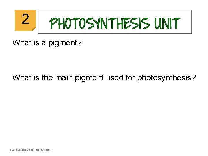 © 2014 Vanessa Jason (“Biology Roots”) 2 What is a pigment? What is the