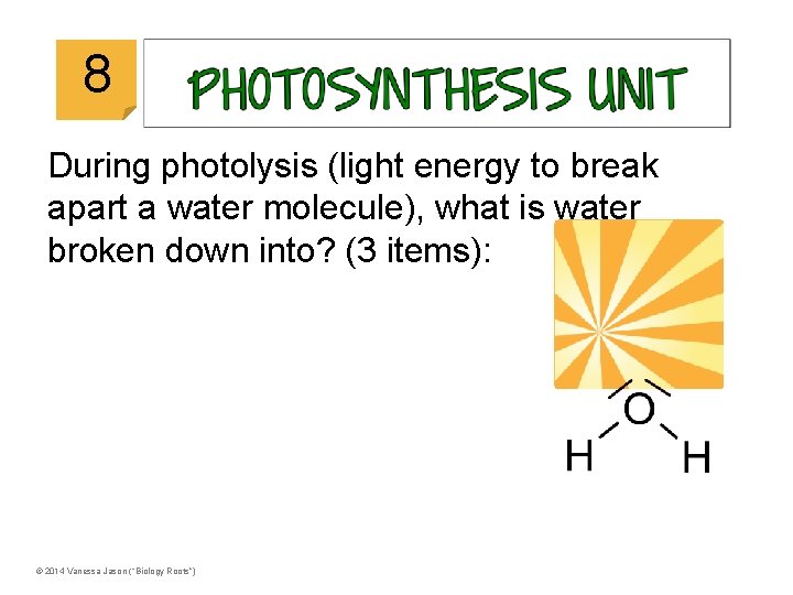 © 2014 Vanessa Jason (“Biology Roots”) 8 During photolysis (light energy to break apart