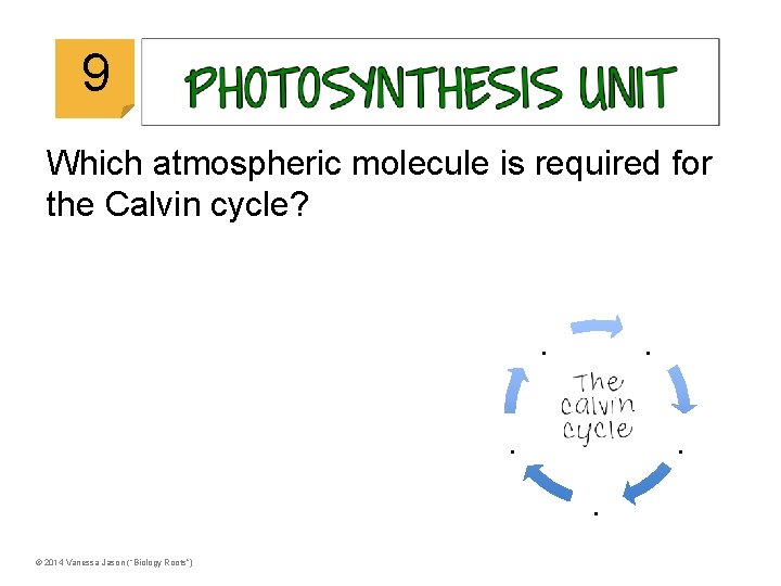 © 2014 Vanessa Jason (“Biology Roots”) 9 Which atmospheric molecule is required for the