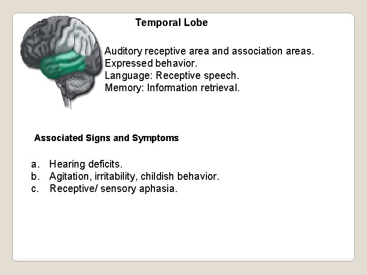 Temporal Lobe Auditory receptive area and association areas. Expressed behavior. Language: Receptive speech. Memory: