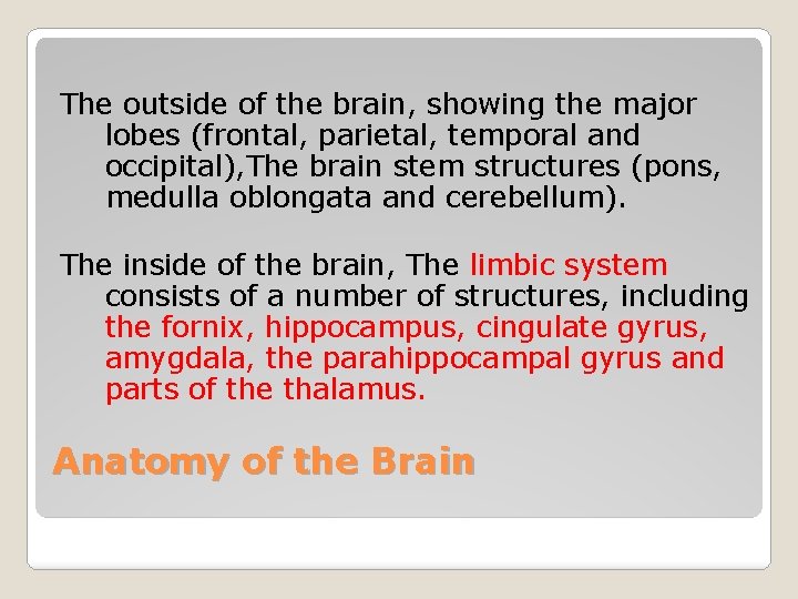 The outside of the brain, showing the major lobes (frontal, parietal, temporal and occipital),