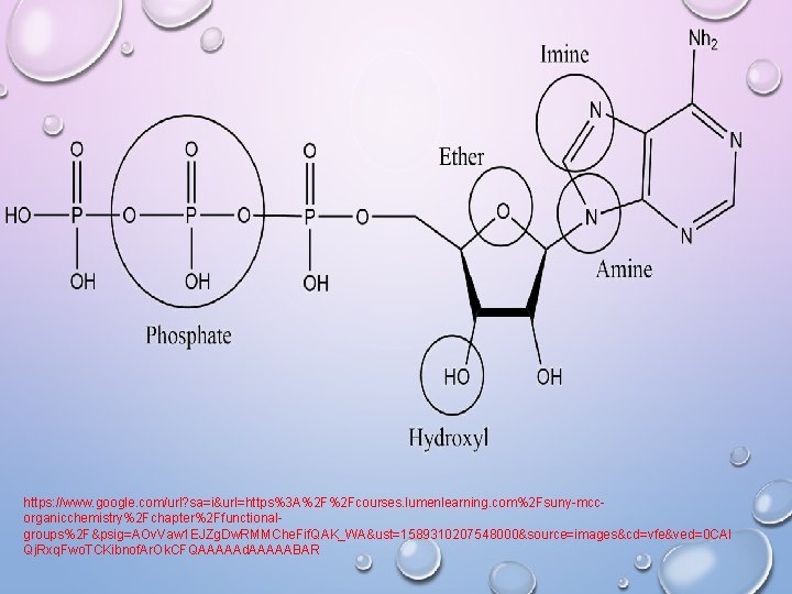 https: //www. google. com/url? sa=i&url=https%3 A%2 F%2 Fcourses. lumenlearning. com%2 Fsuny-mccorganicchemistry%2 Fchapter%2 Ffunctionalgroups%2 F&psig=AOv.