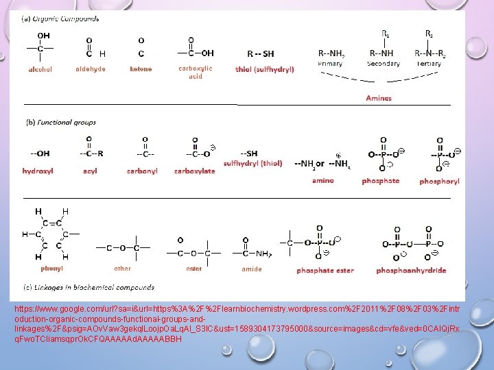 https: //www. google. com/url? sa=i&url=https%3 A%2 F%2 Flearnbiochemistry. wordpress. com%2 F 2011%2 F 08%2