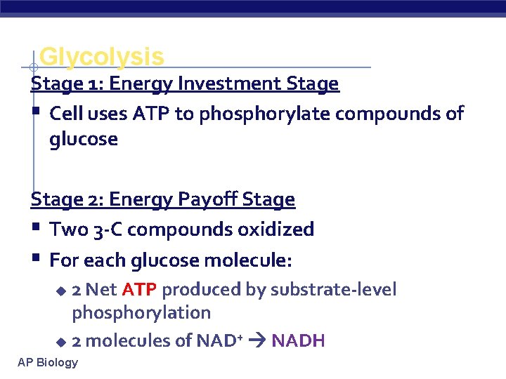 Glycolysis Stage 1: Energy Investment Stage § Cell uses ATP to phosphorylate compounds of