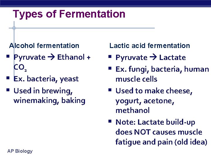 Types of Fermentation Alcohol fermentation § Pyruvate Ethanol + § § CO 2 Ex.