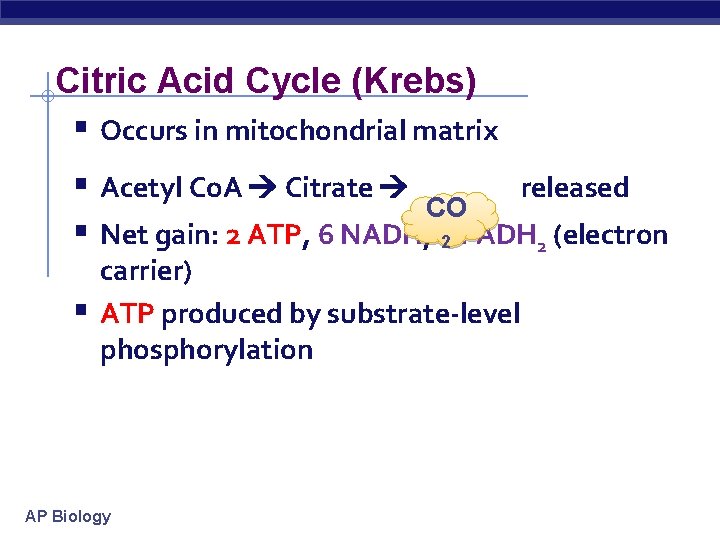 Citric Acid Cycle (Krebs) § Occurs in mitochondrial matrix § Acetyl Co. A Citrate