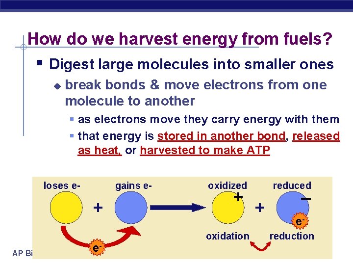 How do we harvest energy from fuels? § Digest large molecules into smaller ones