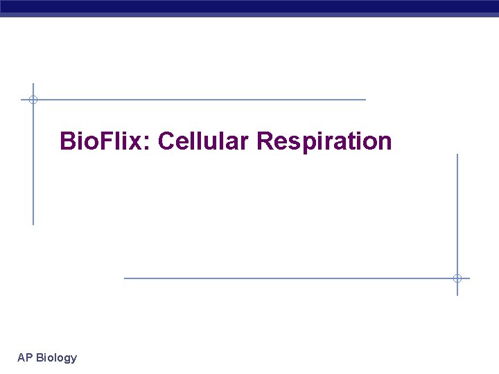 Bio. Flix: Cellular Respiration AP Biology 