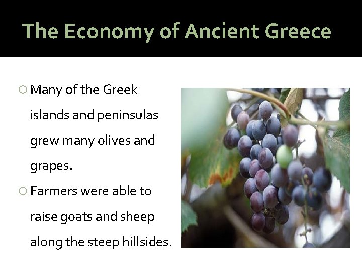 The Economy of Ancient Greece Many of the Greek islands and peninsulas grew many