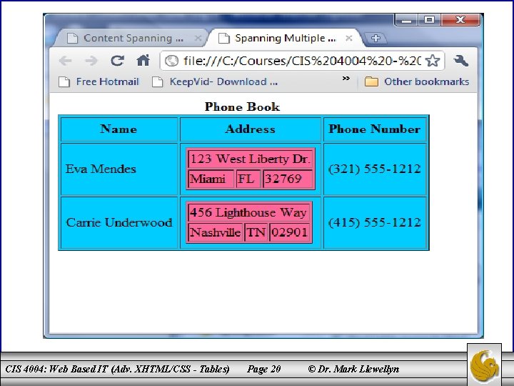 CIS 4004: Web Based IT (Adv. XHTML/CSS - Tables) Page 20 © Dr. Mark